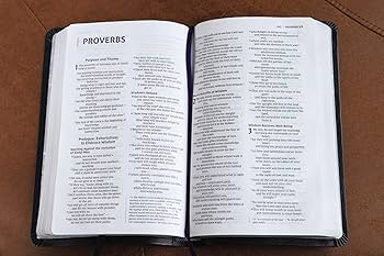 NIV, Thinline Bible, Bonded Leather, Navy, Red Letter